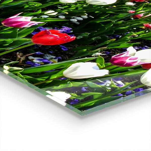 Konyhai hátfal panel Réti nyári virágok