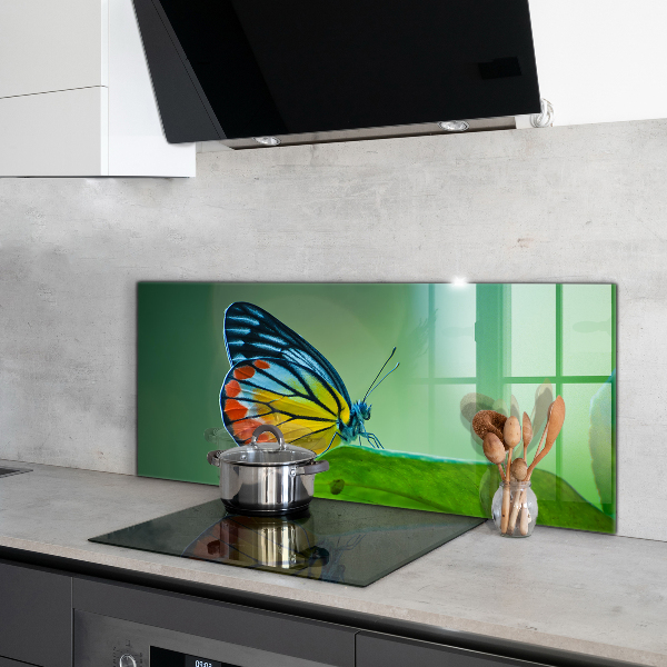 Konyhai panel Pillangó pihen egy levél