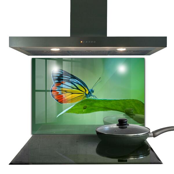 Konyhai panel Pillangó pihen egy levél