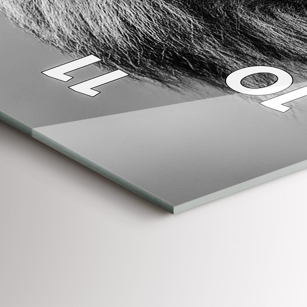 Téglalap alakú üvegóra Absztrakció - Oroszlán