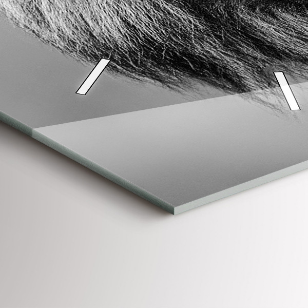 Téglalap alakú üvegóra Absztrakció - Oroszlán