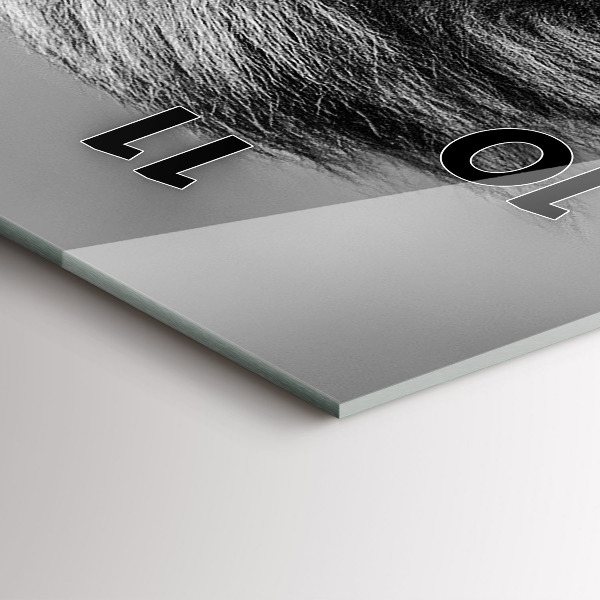 Téglalap alakú üvegóra Absztrakció - Oroszlán