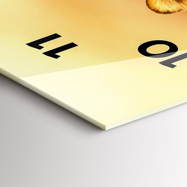 Téglalap alakú üvegóra Vadásztigris