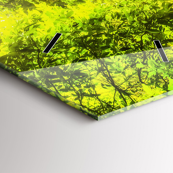 Téglalap alakú üvegóra Vízesés Thaiföldön