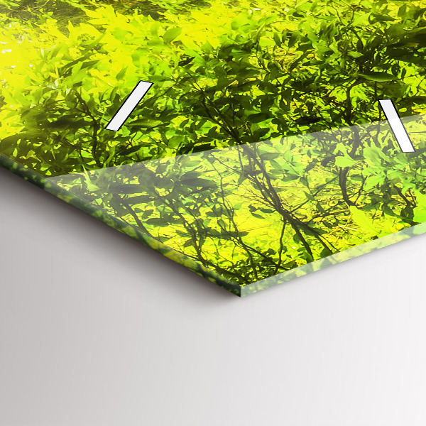 Téglalap alakú üvegóra Vízesés Thaiföldön