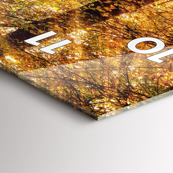 Téglalap alakú üvegóra Őszi erdei táj