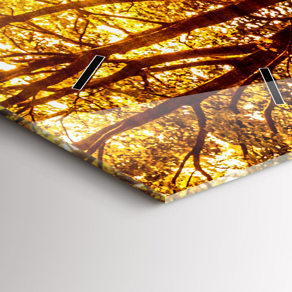 Téglalap alakú üvegóra Erdei táj a napon