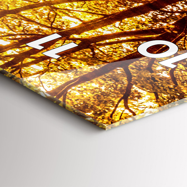 Téglalap alakú üvegóra Erdei táj a napon