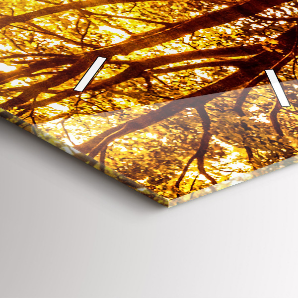 Téglalap alakú üvegóra Erdei táj a napon