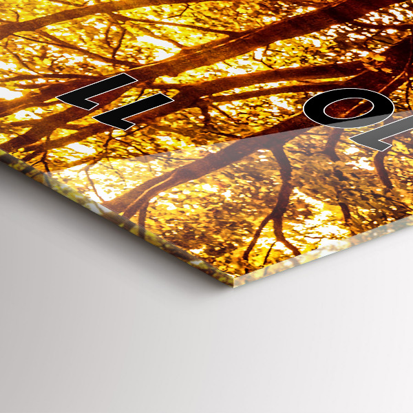 Téglalap alakú üvegóra Erdei táj a napon