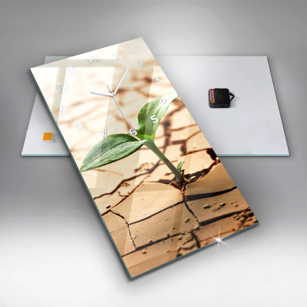 Téglalap alakú üvegóra Száraz talajba ültessük