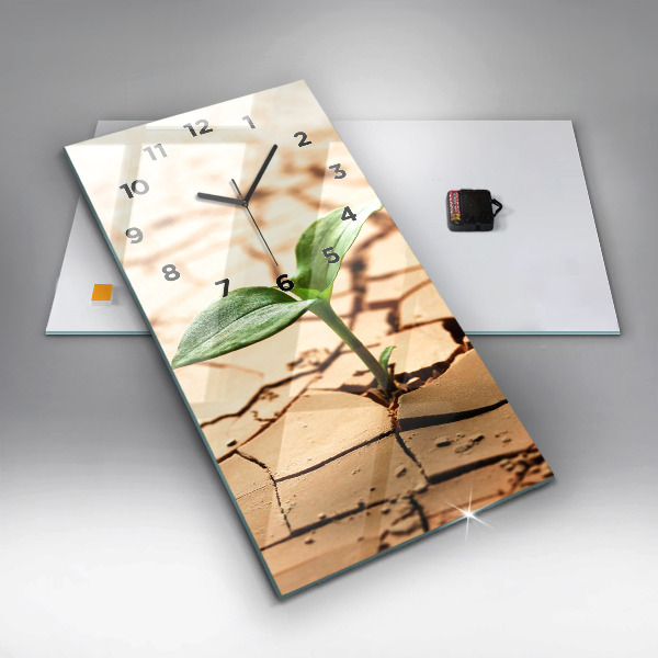 Téglalap alakú üvegóra Száraz talajba ültessük