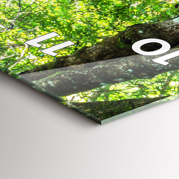 Téglalap alakú üvegóra Vízesés az erdőben