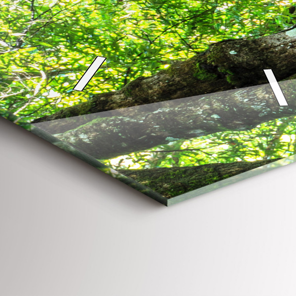 Téglalap alakú üvegóra Vízesés az erdőben