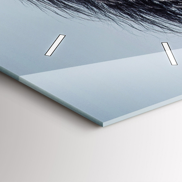 Téglalap alakú üvegóra Vágtázó fehér ló