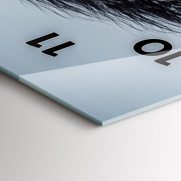 Téglalap alakú üvegóra Vágtázó fehér ló