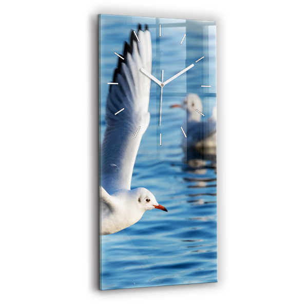 Téglalap alakú üvegóra Sirályok Gdyniában