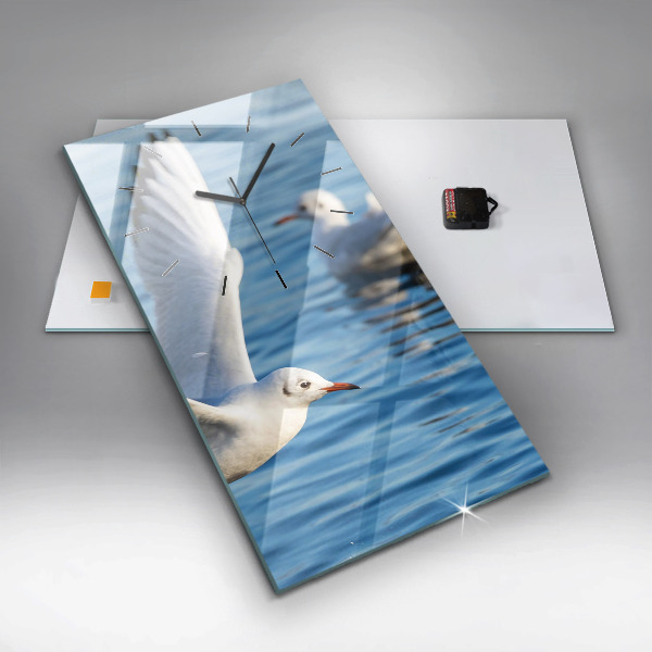 Téglalap alakú üvegóra Sirályok Gdyniában