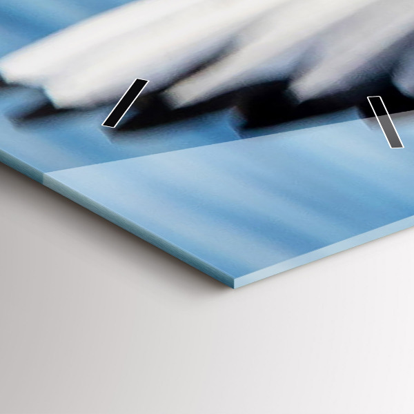 Téglalap alakú üvegóra Sirályok Gdyniában