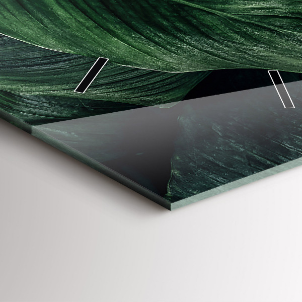 Téglalap alakú üvegóra Trópusi szörny