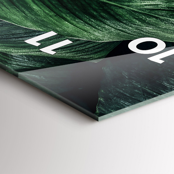 Téglalap alakú üvegóra Trópusi szörny