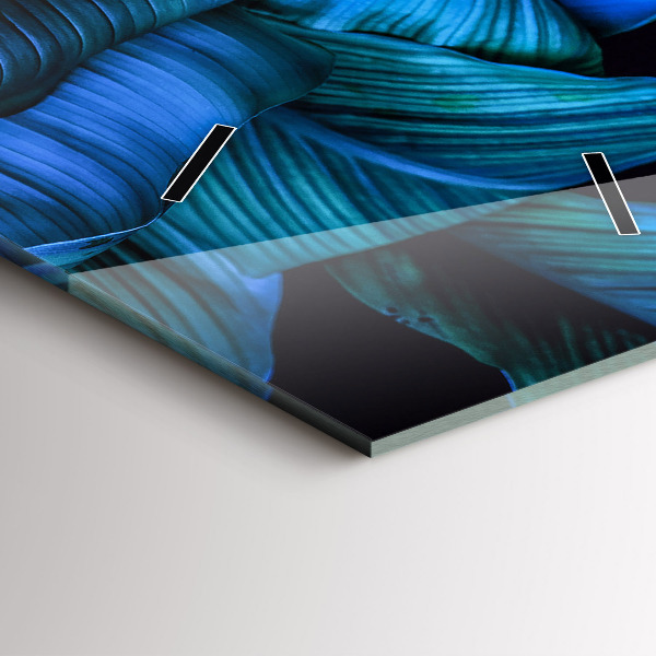 Téglalap alakú üvegóra Trópusi természet