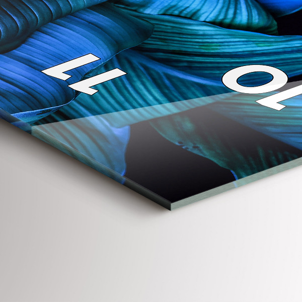 Téglalap alakú üvegóra Trópusi természet