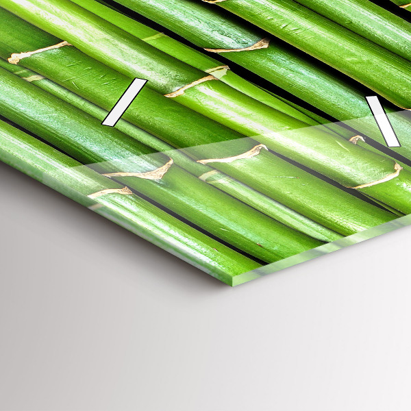 Téglalap alakú üvegóra Ázsiai bambusz