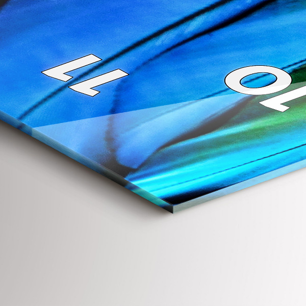 Téglalap alakú üvegóra Színes madárszárnyak