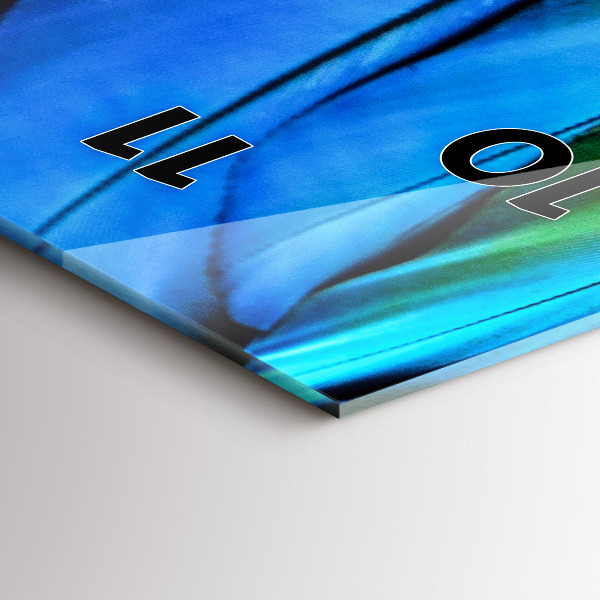 Téglalap alakú üvegóra Színes madárszárnyak