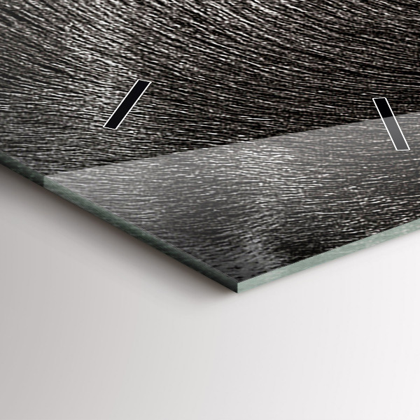 Téglalap alakú üvegóra Scottish Fold kutya és macska