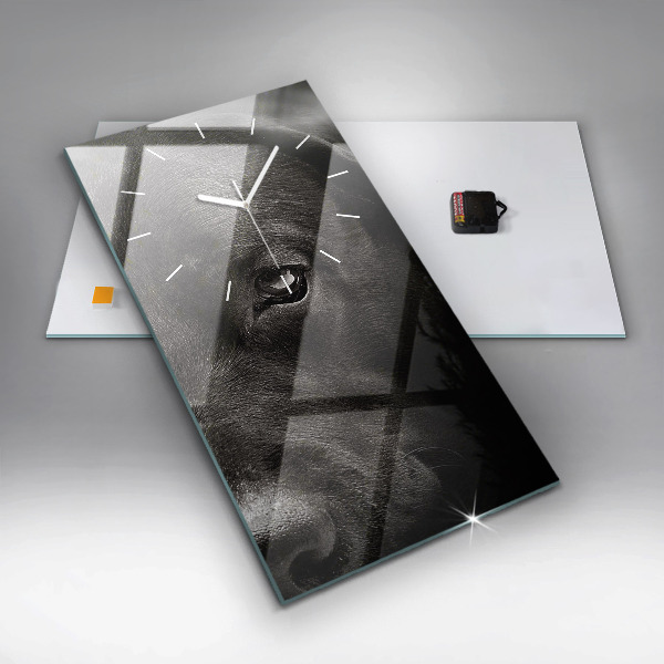 Téglalap alakú üvegóra Scottish Fold kutya és macska