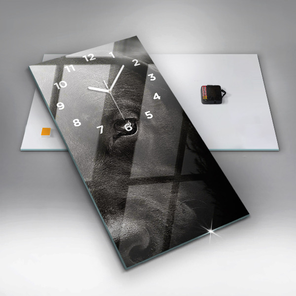 Téglalap alakú üvegóra Scottish Fold kutya és macska