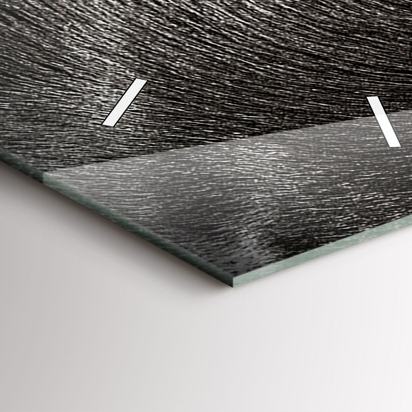 Téglalap alakú üvegóra Scottish Fold kutya és macska