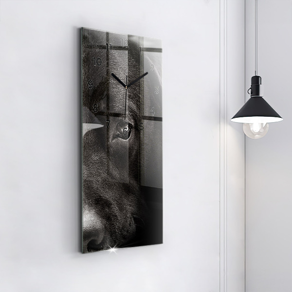 Téglalap alakú üvegóra Scottish Fold kutya és macska