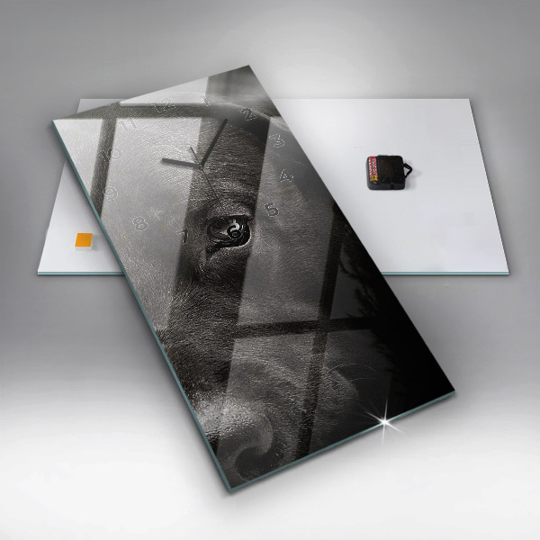 Téglalap alakú üvegóra Scottish Fold kutya és macska