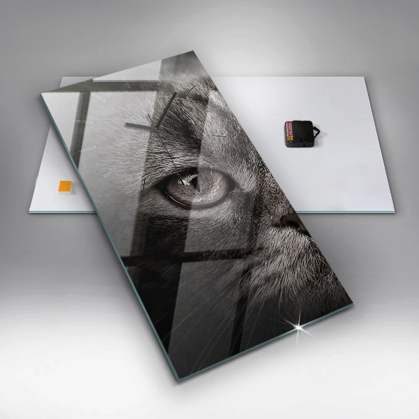 Téglalap alakú üvegóra Scottish Fold kutya és macska