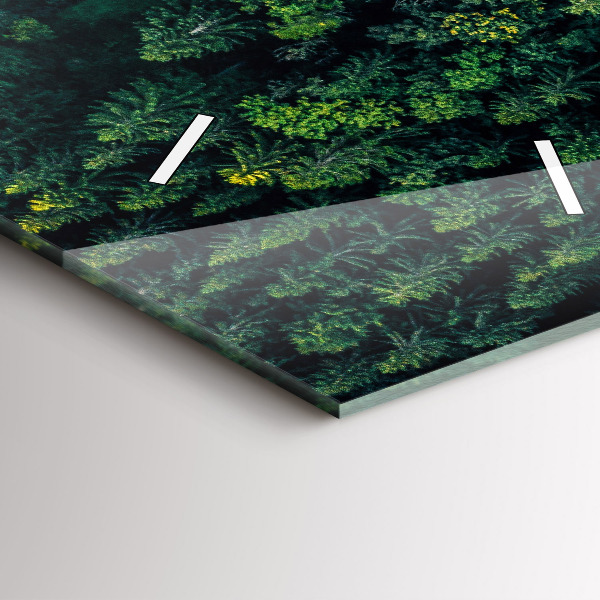 Téglalap alakú üvegóra Erdő madártávlatból