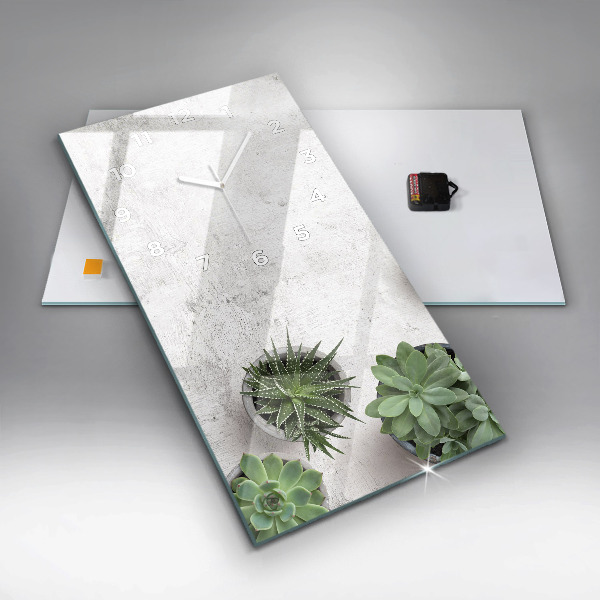 Téglalap alakú üvegóra Dísznövények