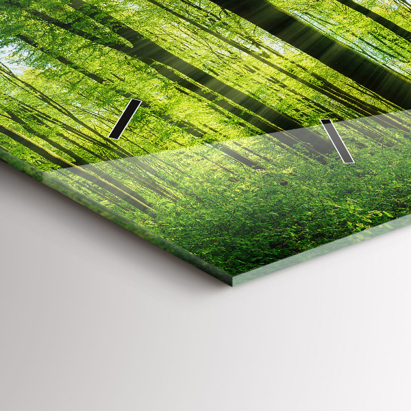 Vízszintes üvegóra Természet erdei fák