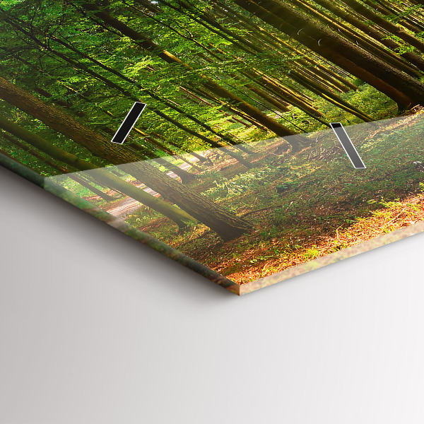 Vízszintes üvegóra Erdei napfelkelte