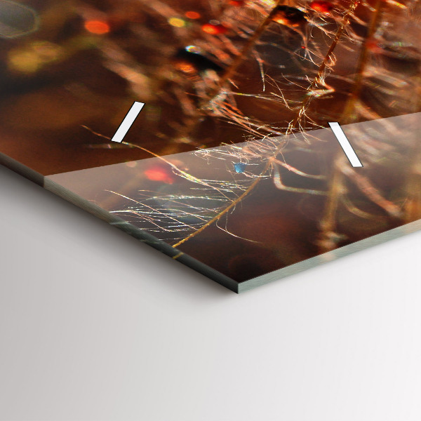 Vízszintes üvegóra Pitypang harmattal