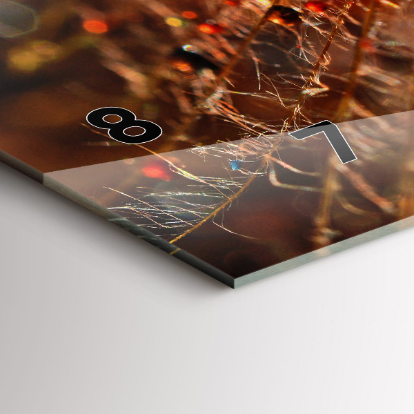 Vízszintes üvegóra Pitypang harmattal