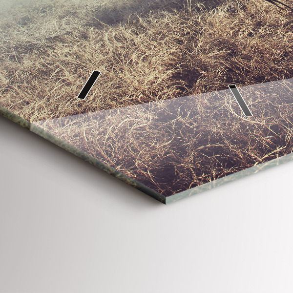 Vízszintes üvegóra Zebra – Absztrakció