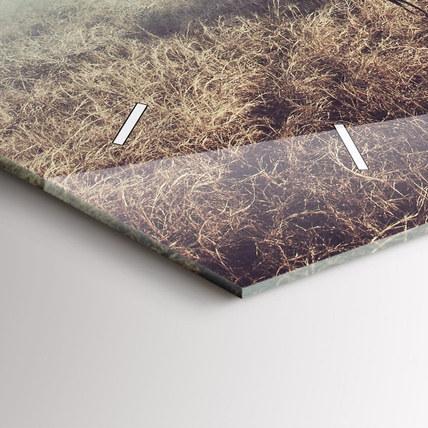 Vízszintes üvegóra Zebra – Absztrakció