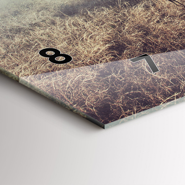 Vízszintes üvegóra Zebra – Absztrakció