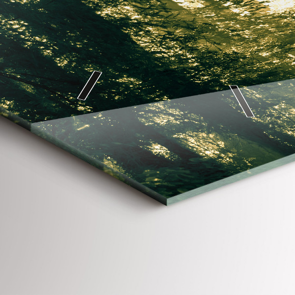 Vízszintes üvegóra Napsugarak erdő