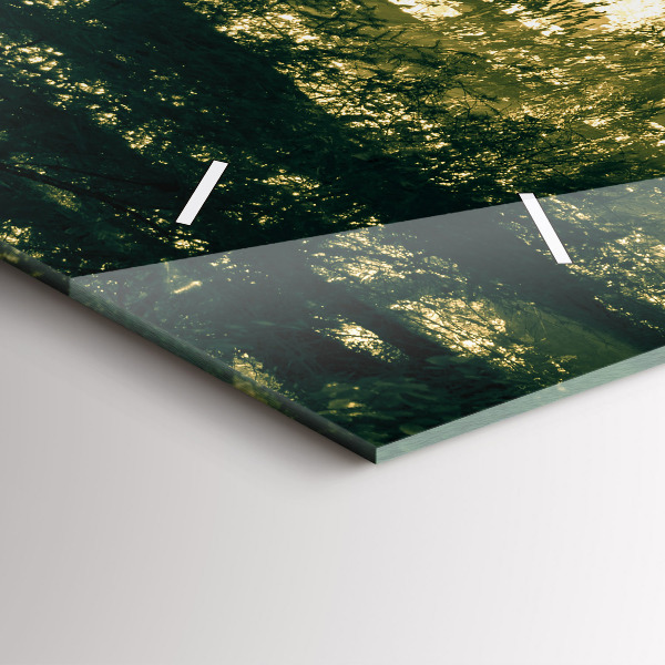 Vízszintes üvegóra Napsugarak erdő