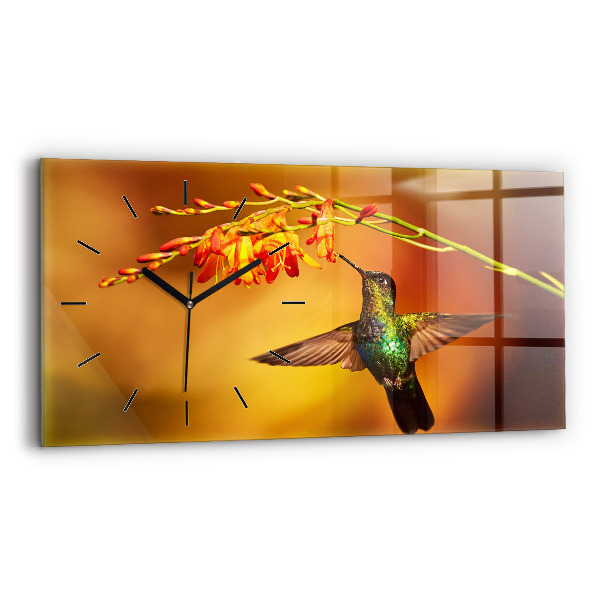 Vízszintes üvegóra Kolibri madár