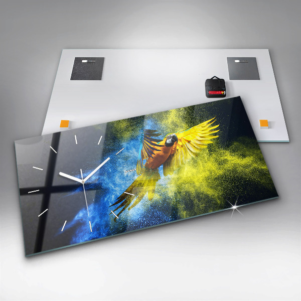 Vízszintes üvegóra Színes papagáj